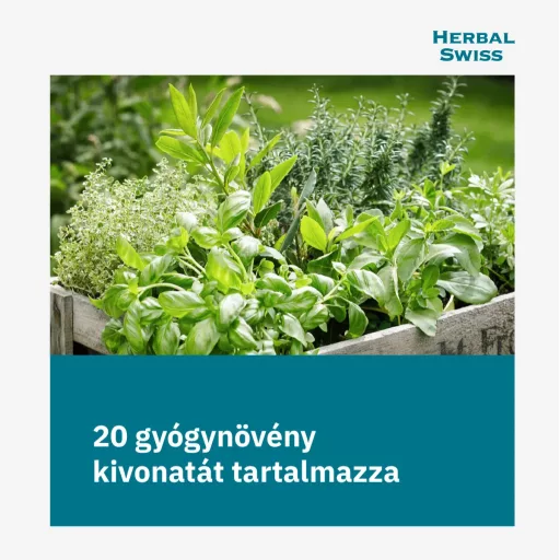 Herbal Swiss Hot Drink instant italpor C-vitaminnal (12 db)