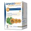 GinkgoMAX + Bacopa + Lecitin lágyzselatin kapszula (60 db)